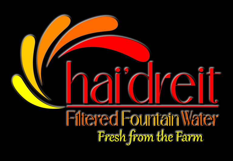 Graphic Design hai'dreit logo